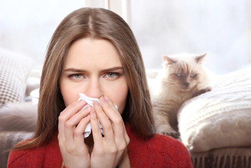 Allergen vs Allergy